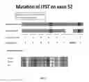 Fig. 03 - COMPOSITIONS AND METHODS FOR ANTI-LYST IMMUNOMODULATION
