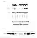 Fig. 05 - Anti-malignant tumor agent