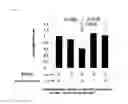 Fig. 08 - Anti-malignant tumor agent
