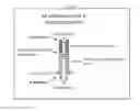 Fig. 06 - COMPOSITIONS AND METHODS FOR GROWTH FACTOR MODULATION