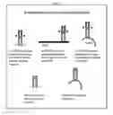 Fig. 08 - COMPOSITIONS AND METHODS FOR GROWTH FACTOR MODULATION