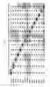 Fig. 16 - COMPOSITIONS AND METHODS FOR GROWTH FACTOR MODULATION