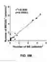 Fig. 26 - SELECTIVE ELIMINATION OF EROSIVE CELLS