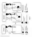 Fig. 13 - Method of engineering multi-input signal sensitive T cell for immunotherapy