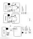 Fig. 16 - Method of engineering multi-input signal sensitive T cell for immunotherapy