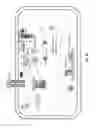 Fig. 22 - Method of engineering multi-input signal sensitive T cell for immunotherapy