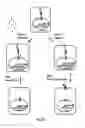 Fig. 23 - Method of engineering multi-input signal sensitive T cell for immunotherapy