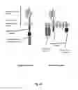 Fig. 24 - Method of engineering multi-input signal sensitive T cell for immunotherapy