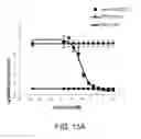 Fig. 20 - ANTIBODIES AGAINST THE ECTODOMAIN OF ERBB3 AND USES THEREOF
