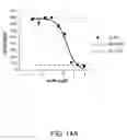 Fig. 23 - ANTIBODIES AGAINST THE ECTODOMAIN OF ERBB3 AND USES THEREOF