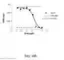 Fig. 24 - ANTIBODIES AGAINST THE ECTODOMAIN OF ERBB3 AND USES THEREOF