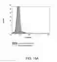 Fig. 25 - ANTIBODIES AGAINST THE ECTODOMAIN OF ERBB3 AND USES THEREOF