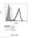 Fig. 27 - ANTIBODIES AGAINST THE ECTODOMAIN OF ERBB3 AND USES THEREOF