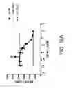 Fig. 28 - ANTIBODIES AGAINST THE ECTODOMAIN OF ERBB3 AND USES THEREOF