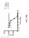 Fig. 29 - ANTIBODIES AGAINST THE ECTODOMAIN OF ERBB3 AND USES THEREOF