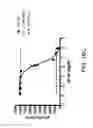Fig. 30 - ANTIBODIES AGAINST THE ECTODOMAIN OF ERBB3 AND USES THEREOF