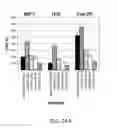 Fig. 47 - ANTIBODIES AGAINST THE ECTODOMAIN OF ERBB3 AND USES THEREOF