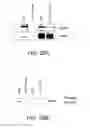 Fig. 56 - ANTIBODIES AGAINST THE ECTODOMAIN OF ERBB3 AND USES THEREOF