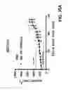 Fig. 66 - ANTIBODIES AGAINST THE ECTODOMAIN OF ERBB3 AND USES THEREOF