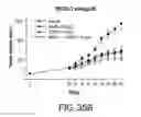 Fig. 67 - ANTIBODIES AGAINST THE ECTODOMAIN OF ERBB3 AND USES THEREOF