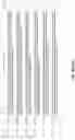Fig. 43 - NOVEL ANTI-RNF43 ANTIBODIES AND METHODS OF USE
