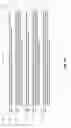 Fig. 57 - NOVEL ANTI-RNF43 ANTIBODIES AND METHODS OF USE
