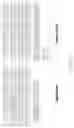 Fig. 60 - NOVEL ANTI-RNF43 ANTIBODIES AND METHODS OF USE