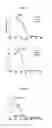 Fig. 10 - Light induced free radical and/or cationic photopolymerization method