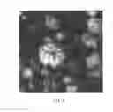 Fig. 03 - Flame retardant, method of manufacturing the same, resin composition of matter, and method of manufacturing the same
