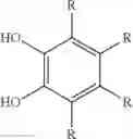 Fig. 04 - Process for producing polydienes