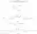 Fig. 31 - Polyglyoxylates, manufacture and use thereof