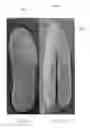 Fig. 02 - FOAMED THERMOPLASTIC POLYURETHANE AND MICROWAVE MOLDED ARTICLE THEREOF