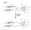 Fig. 06 - System and method for synthesis of POSS-graphene oxide derivatives as effective fillers for developing high performance composites