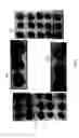 Fig. 10 - Precursor compounds for molecular coatings