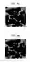 Fig. 02 - Inkjet printing ink