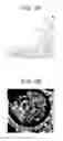 Fig. 03 - Inkjet printing ink
