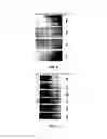 Fig. 08 - Apparatus and methods for alternative coatings applicable to metal