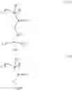 Fig. 32 - Composition for forming liquid immersion upper layer film, and polymer