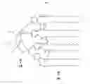 Fig. 03 - DENDRITIC POLYMERS FOR USE AS SURFACE MODIFICATION AGENTS