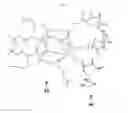 Fig. 05 - DENDRITIC POLYMERS FOR USE AS SURFACE MODIFICATION AGENTS
