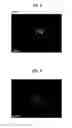Fig. 03 - Oxynitride phosphor, manufacturing method therefor, and light emitting device package using same
