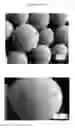 Fig. 07 - Microencapsulation of chemical additives