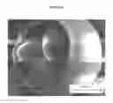 Fig. 08 - Microencapsulation of chemical additives