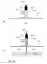 Fig. 19 - Bag assembly for cultivation of cells