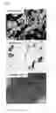 Fig. 06 - Methods of selective cell attachment/detachment, cell patternization and cell harvesting by means of near infrared rays