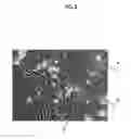 Fig. 09 - Cell determination device, cell determination method, and cell determination program