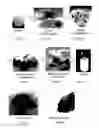 Fig. 02 - METHOD OF INDUCING CALLUS, METHOD OF CULTURING CALLUS, METHOD OF INDUCING SOMATIC EMBRYO, METHOD OF REGENERATING PLANT, AND METHOD OF PROPAGATING PLANT