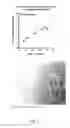 Fig. 03 - Ex vivo proliferation of epithelial cells