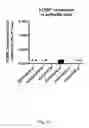 Fig. 04 - Ex vivo proliferation of epithelial cells