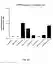 Fig. 08 - Ex vivo proliferation of epithelial cells
